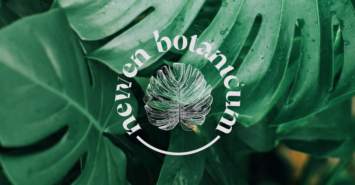 Mini invernadero – Newen Botanicum